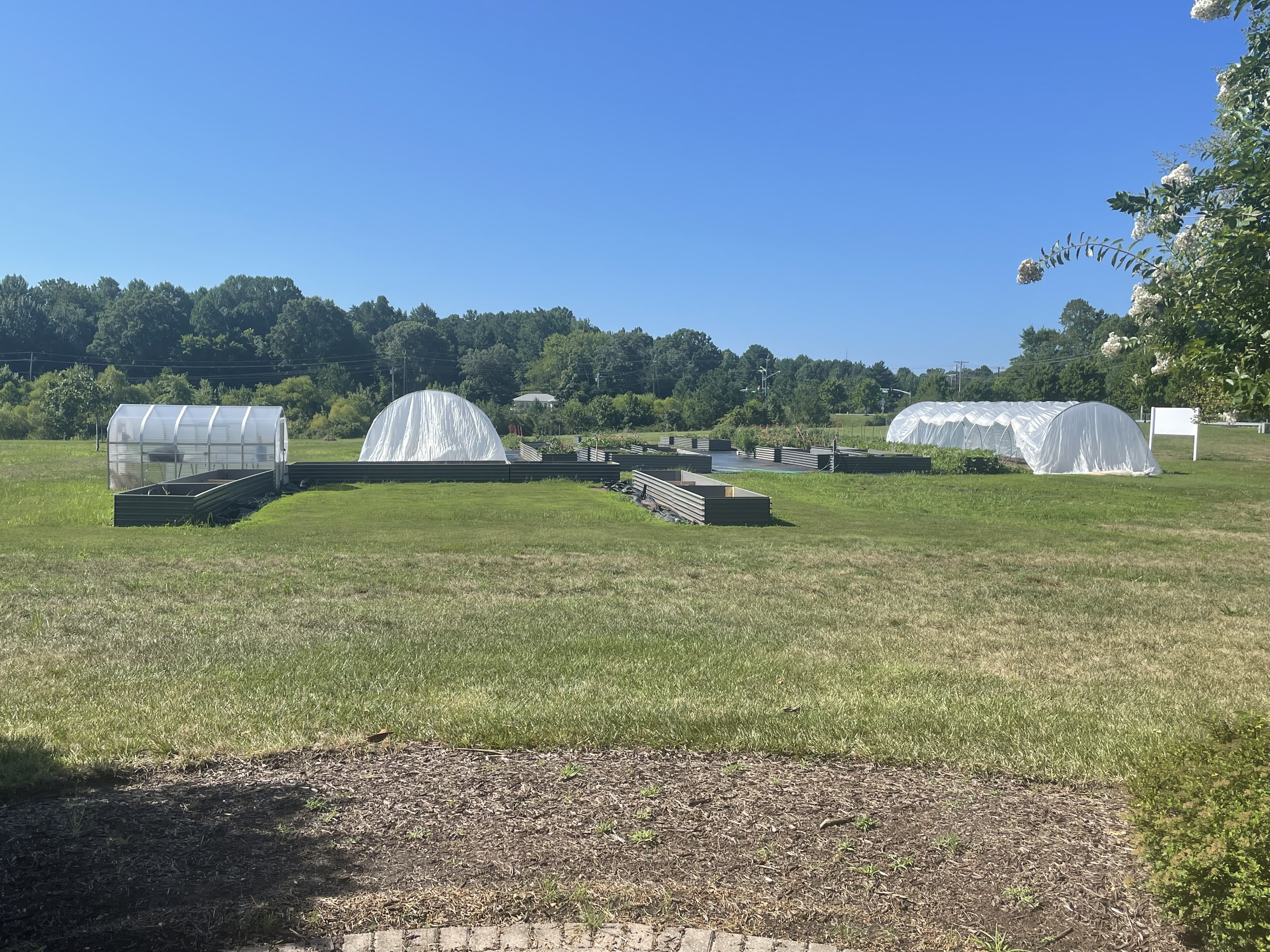 A panoramic view of a community garden featuring several greenhouse structures and raised garden beds on a sunny day.