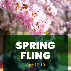 Spring Fling