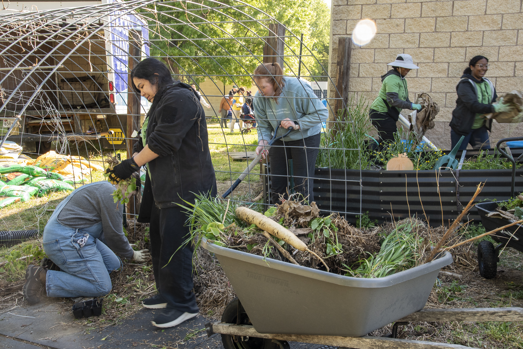 Volunteers lay out soil, pick up weeds, and prepare garden beds