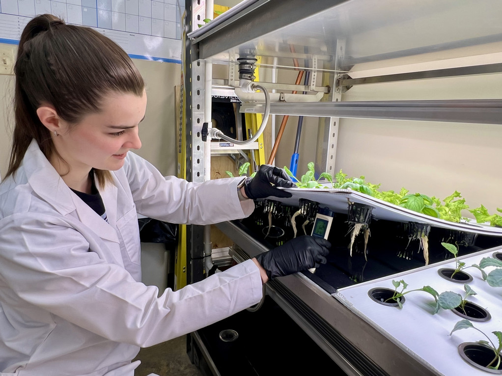 Student stands over racks of small plants and measures temperature of the water
