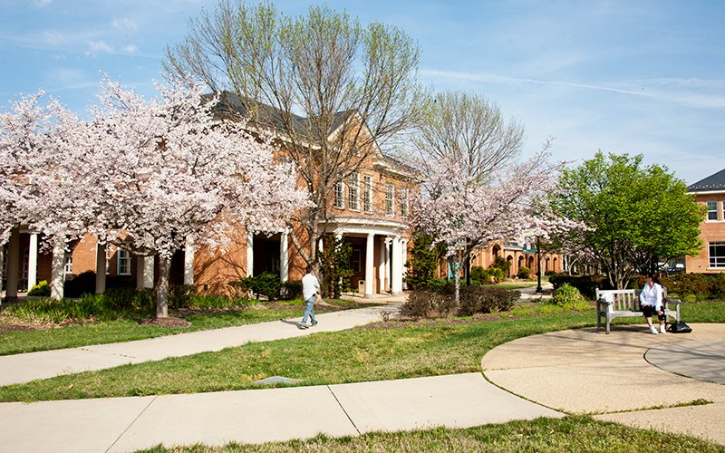 la plata campus 