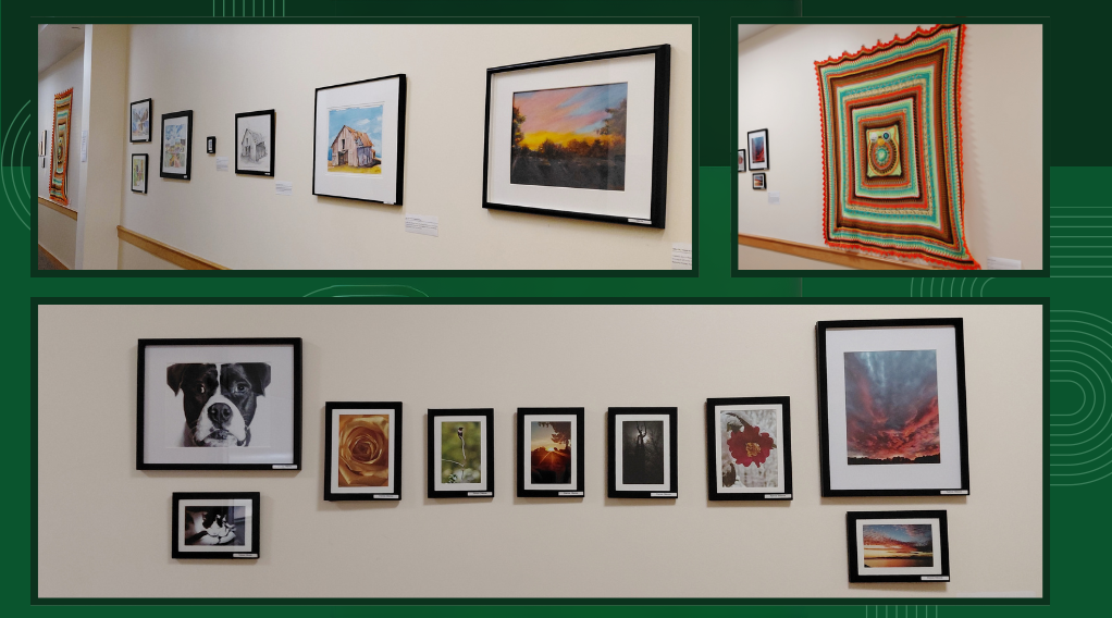 Art pieces hanging on the wall, including photography, watercolor, drawings, and textiles. 