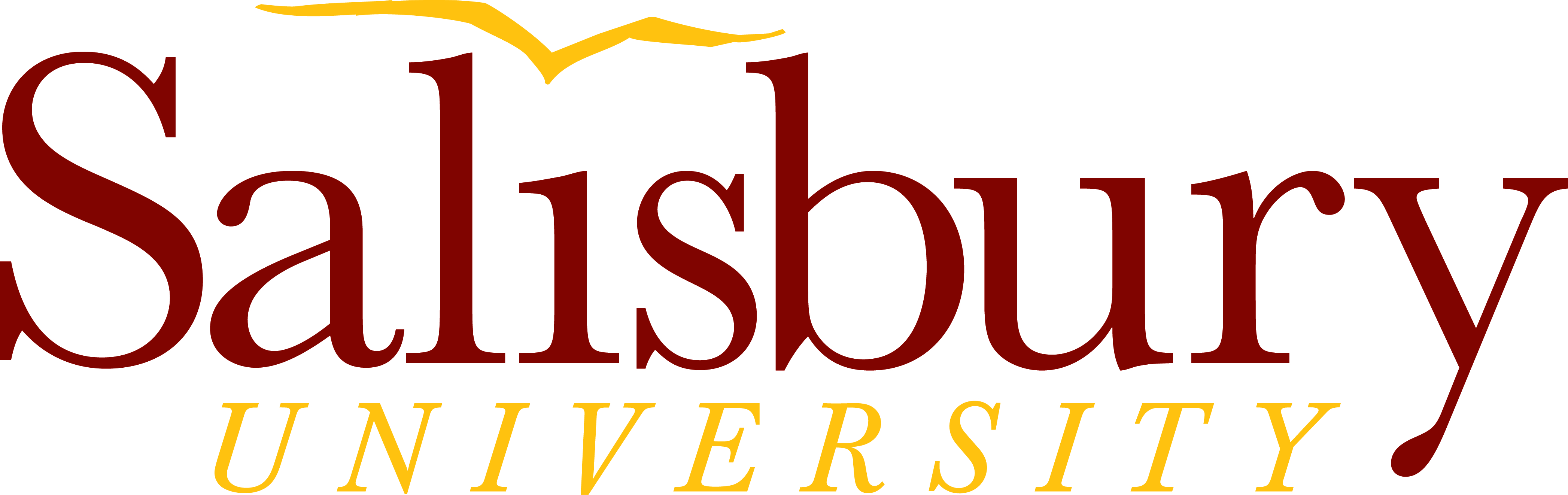 salisbury logo